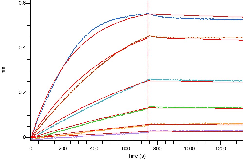 Human CD47 +BLI-1.jpg